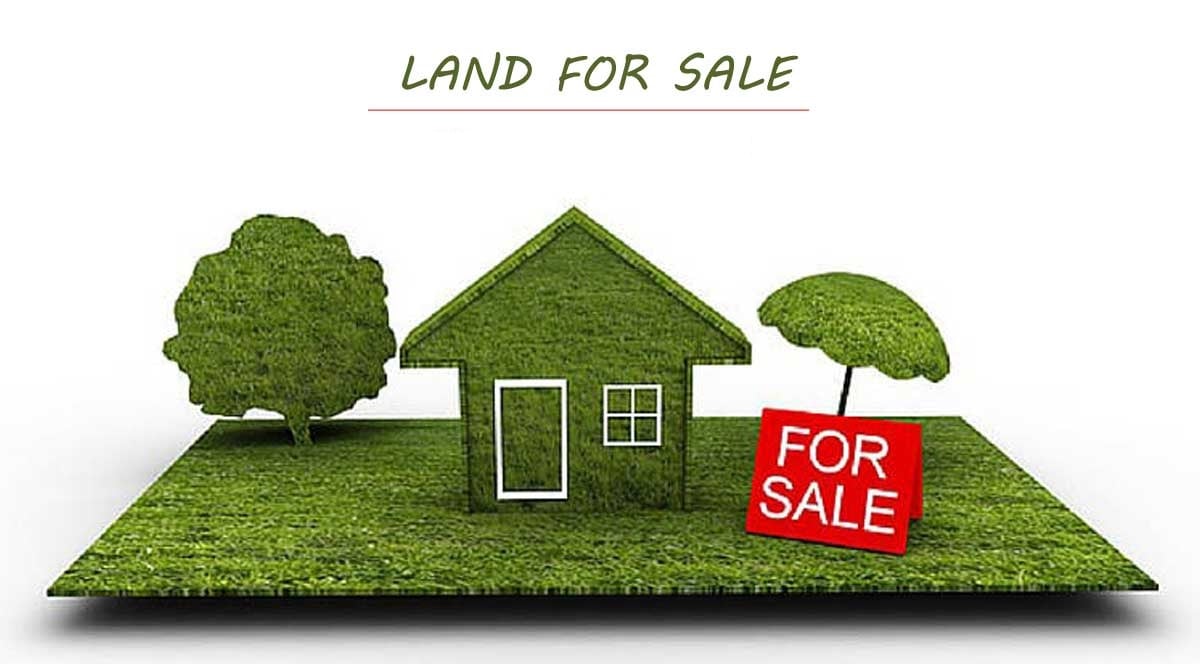 land